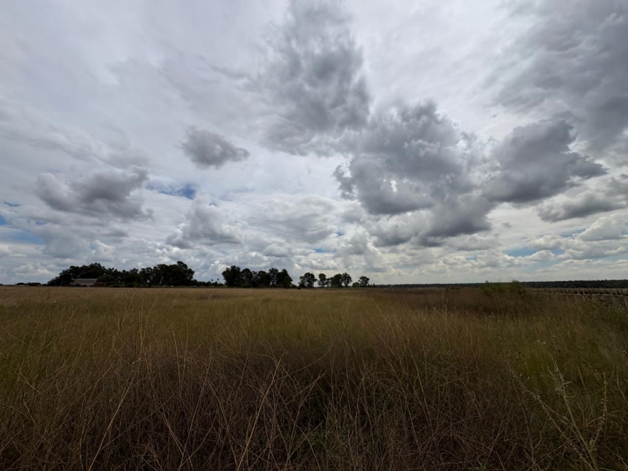 0 Bedroom Property for Sale in Vaalpark Free State